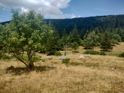 IMG 20260718 154307443 HDR