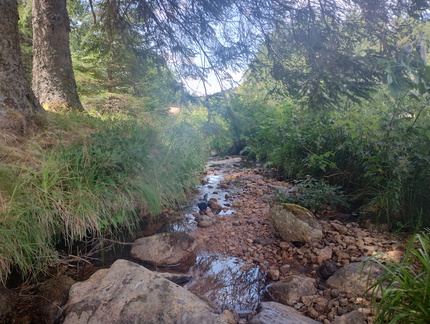 IMG 20260718 150105813 HDR