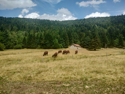 IMG 20260718 145622893 HDR