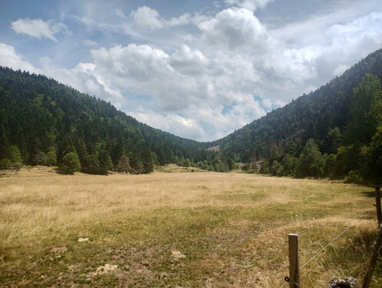 IMG 20260718 145619520 HDR