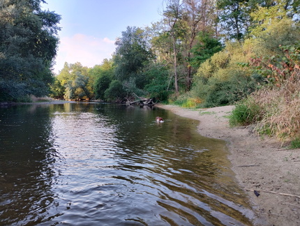 IMG 20260629 202251892 HDR