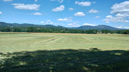 IMG 20260611 160740145 HDR