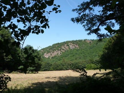 P1130905