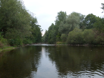P1140301