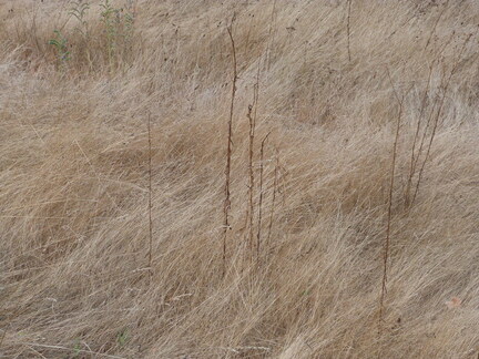 P1140253