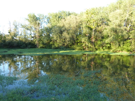 P1140393