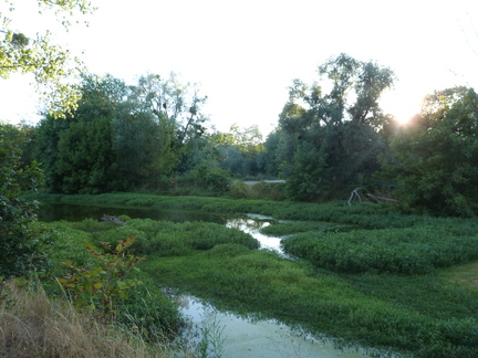 P1140392