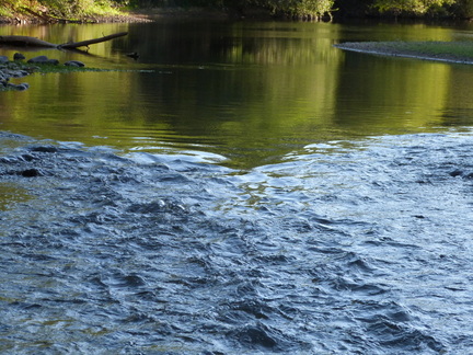 P1140388