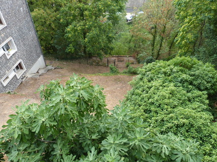 P1140486