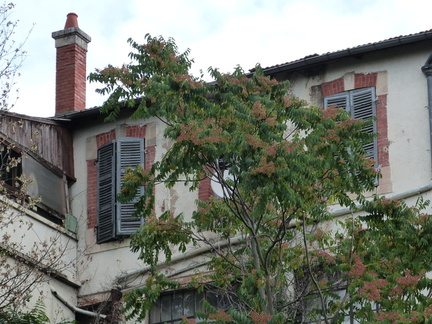 P1140482