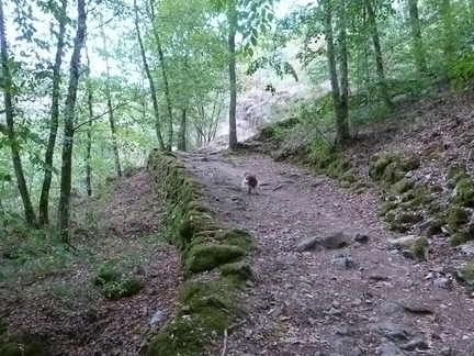 P1140627