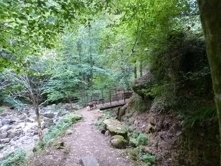 P1140622