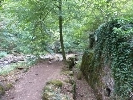 P1140621