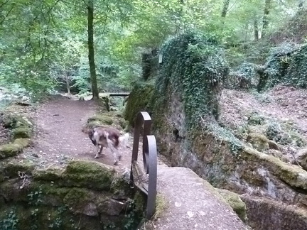 P1140620