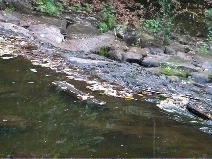 P1140612