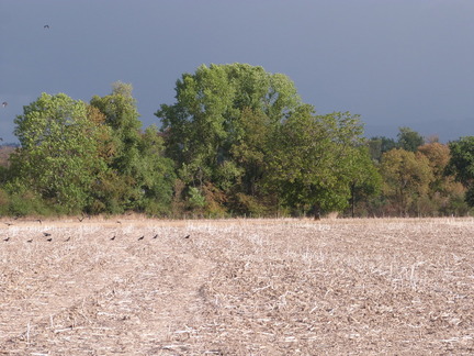 P1140764