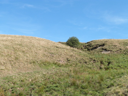 P1150288