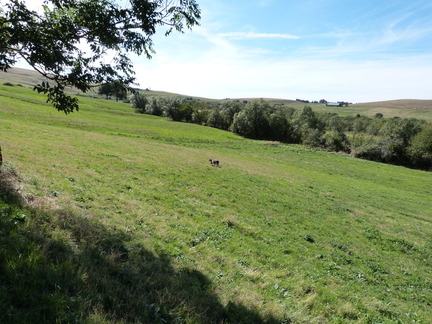 P1150287