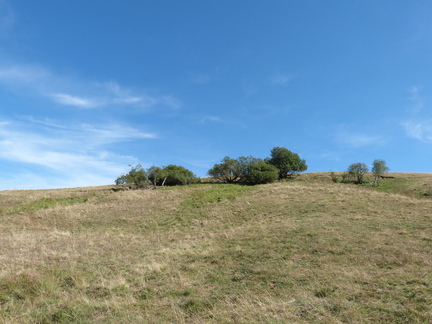 P1150286