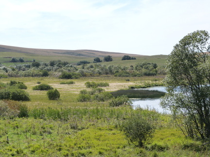 P1150279