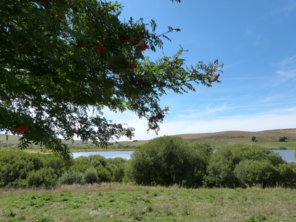 P1150276