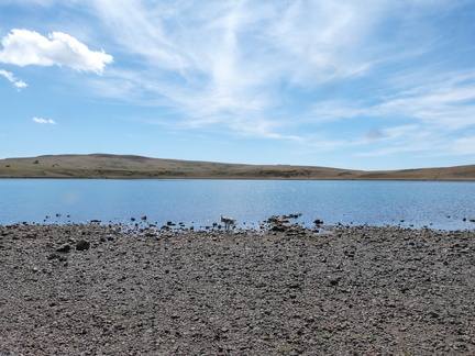 P1150235
