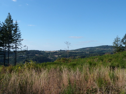 P1150390