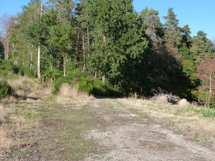 P1150389