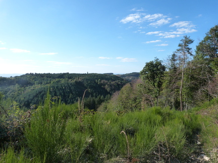 P1150388