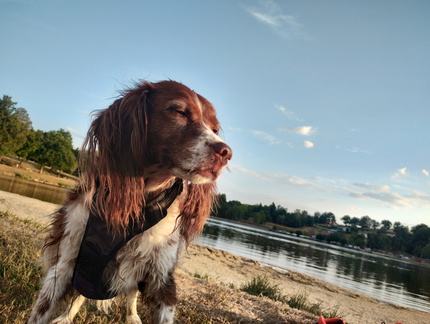 IMG 20260811 201222950 HDR