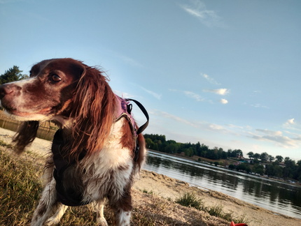 IMG 20260811 201221723 HDR