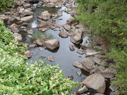 P1150546